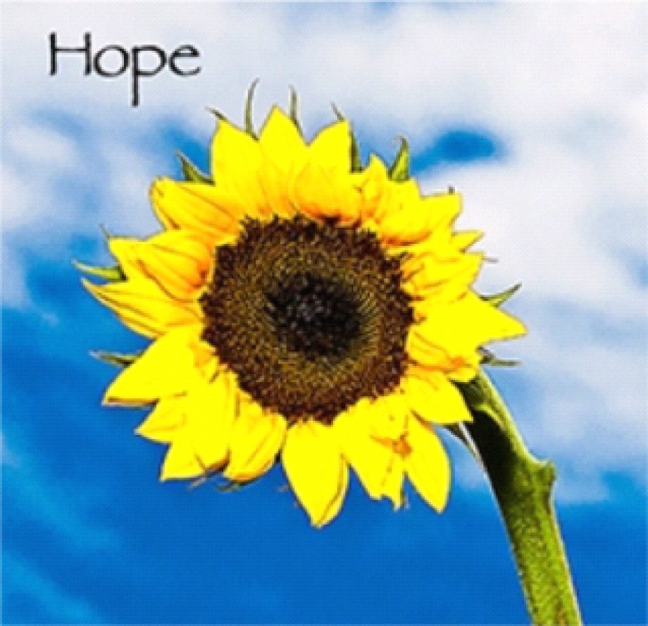 Hope_Project